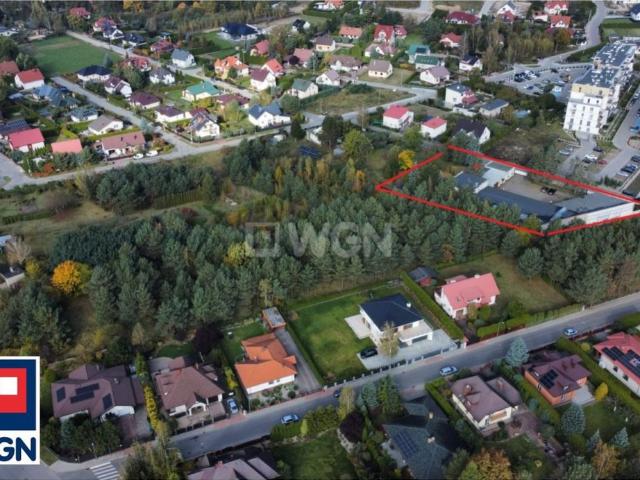 Komercyjne lokal na wynajem, Limbowa