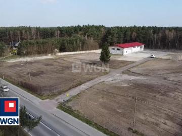 Komercyjne lokal na wynajem, Sienkiewicza