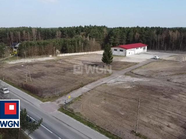 Komercyjne lokal na wynajem, Sienkiewicza