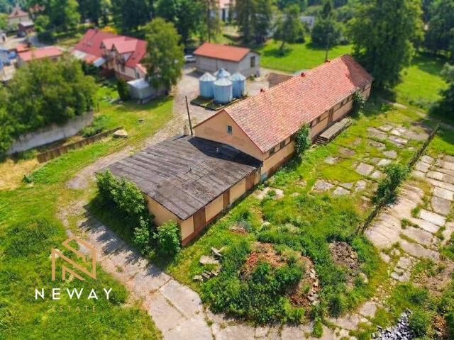 Komercyjne lokal na wynajem, Południowa