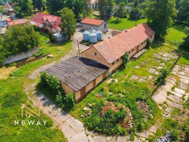 Komercyjne lokal na wynajem, Południowa