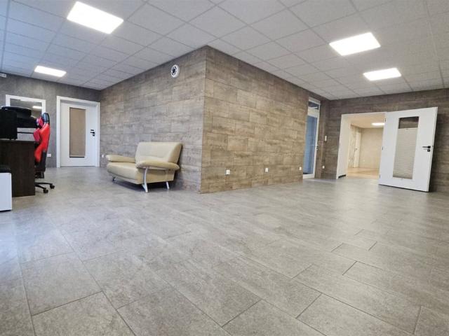 Komercyjne lokal na wynajem, Piotrków Trybunalski