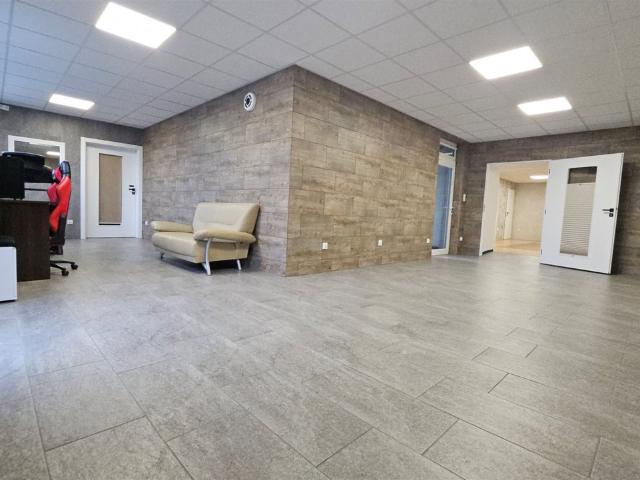 Komercyjne lokal na wynajem, Piotrków Trybunalski
