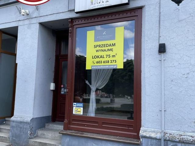 Komercyjne lokal na wynajem, Rynek