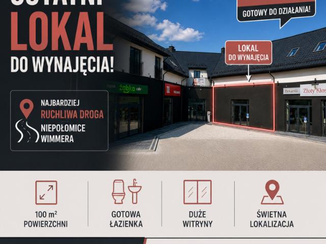 Komercyjne lokal na wynajem, Władysława Wimmera