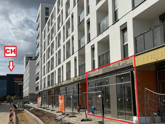 Komercyjne lokal na wynajem, Warszawa, Białołęka, Pałuków
