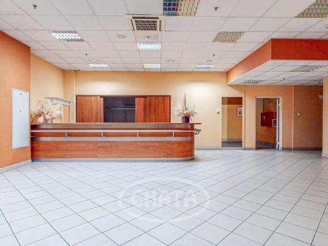 Komercyjne lokal na wynajem, Wrocław, Stare Miasto, Dominikański