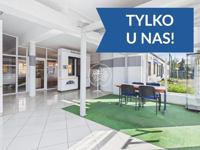 Komercyjne lokal na wynajem, Toruń