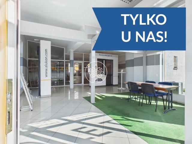 Komercyjne lokal na wynajem, Toruń