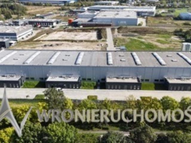 Komercyjne lokal na wynajem, Tadeusza Kościuszki