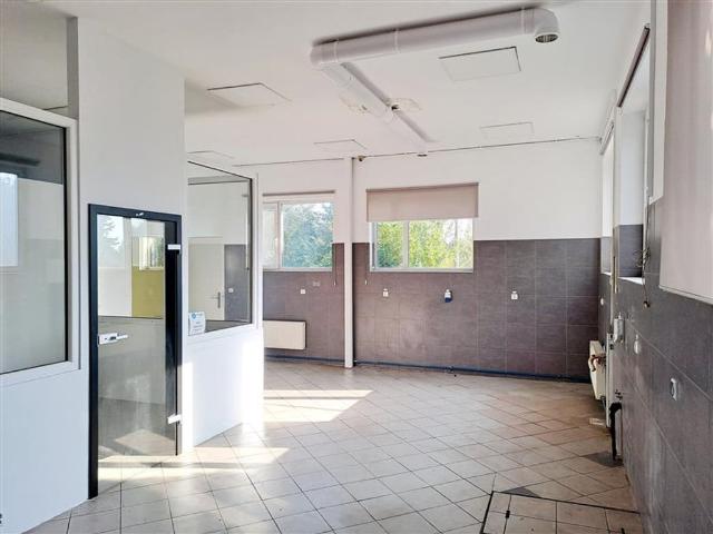 Komercyjne lokal na wynajem, Zastawna