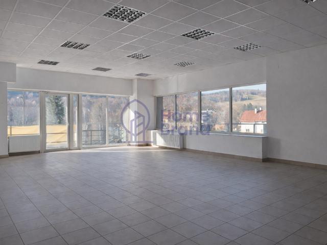 Komercyjne lokal na wynajem, Zielona