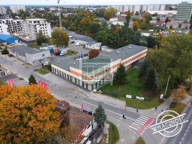 Komercyjne lokal na wynajem, Zielona Góra