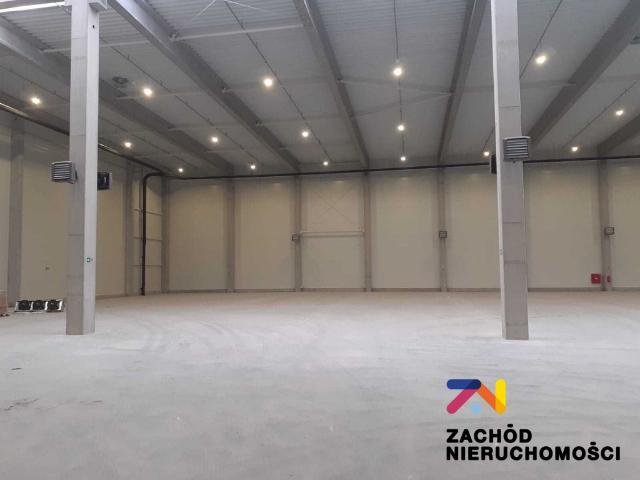 Komercyjne lokal na wynajem, Zielona Góra