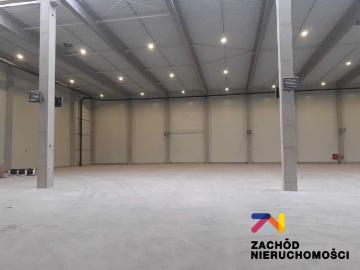 Komercyjne lokal na wynajem, Zielona Góra