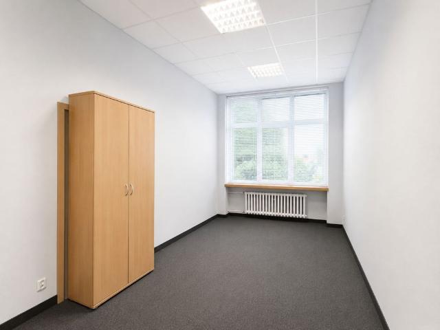 Komercyjne lokal na wynajem, Zielona Góra