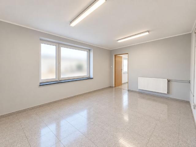Komercyjne lokal na wynajem, Zielona Góra