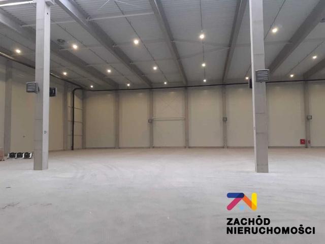 Komercyjne lokal na wynajem, Zielona Góra