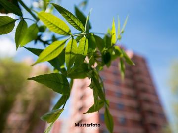 Mainstraße, Mörfelden-Walldorf - Keller