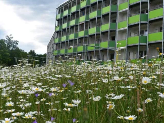 Komfortable 2 Zimmer Wohnung mit Südbalkon im modernen Mehrgenerationenhaus