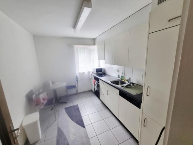 Komfortable Wohnung in der grünen Natur