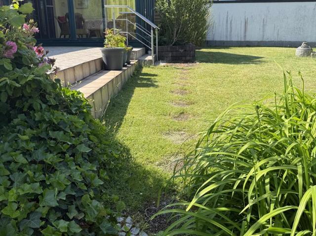 Komfortables Wohnen auf einer Ebene mit Wintergarten und Garten