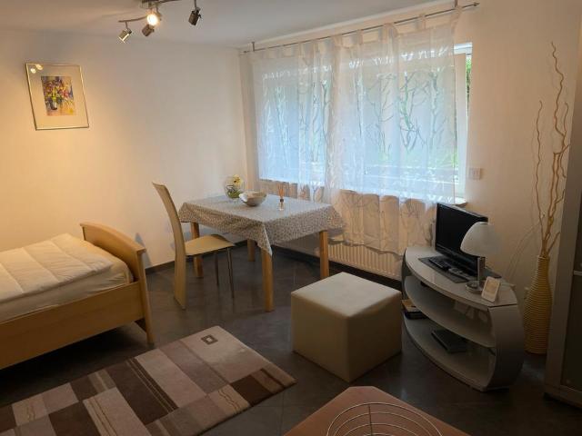 kompl. möbliertes Apartment Stuttgart Lederberg 1 Person
