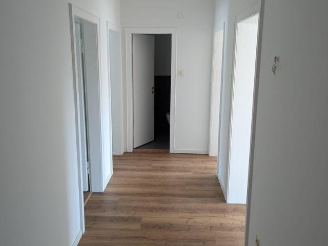 Komplett Wohnung oder einzelne WG Zimmer, zentral gelegen!