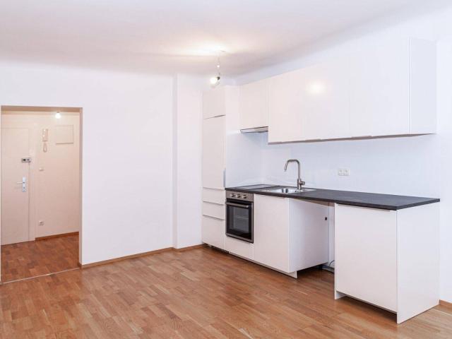 Komplett renovierte Wohnung in der Flurschützstraße in Wien Meidling