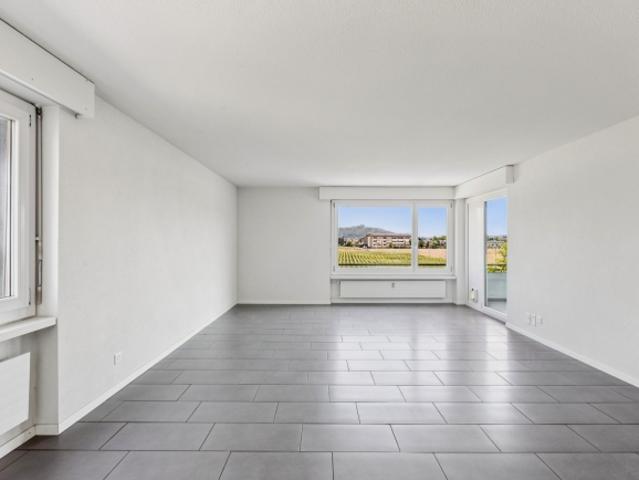 Komplett sanierte 4.5 Zimmer Wohnung mit grosszügigem Balkon und We