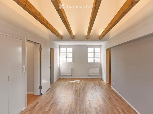 Komplett saniertes 5.5 Zimmer Reiheneinfamilienhaus mit Garten im Hirzbrunnenquartier