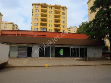 Kozyatağı, Kadıköy, İstanbul, İstanbul ili, Marmara Bölgesi