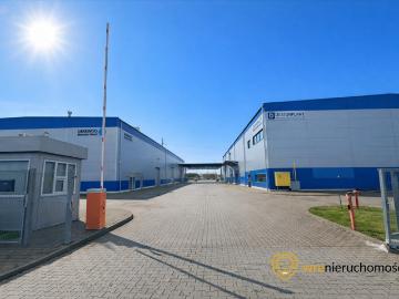 Kompleks hal produkcyjno magazynowych 5120 m², Biskupice