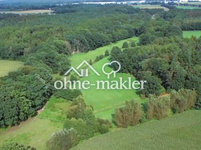 #KONKURRENZLOSER KAMPF PREIS#GIGANTISCHES WALDGRUNDSTÜCK#HEIDEREGION+3 HÄUSER SO GESEHEN GRATIS DAZU
