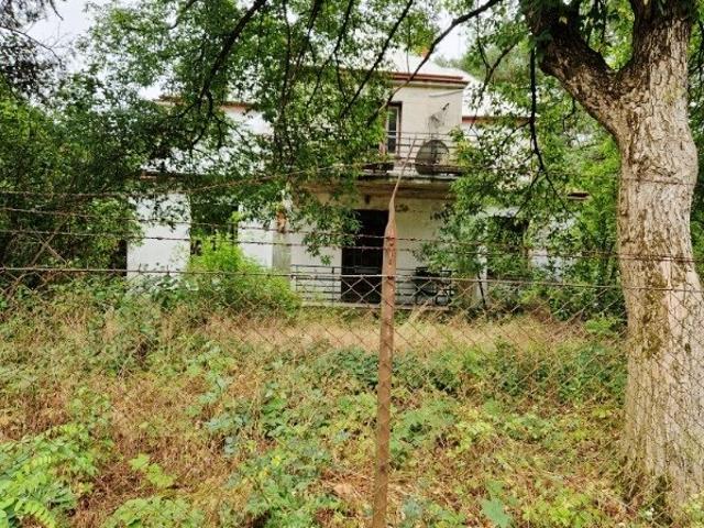 Urokliwa willa z potencjałem 180 m² duża działka 3318 m²