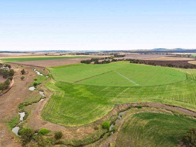 'Koondooloo' Place of Many Waterholes. Succession Requires Sale!