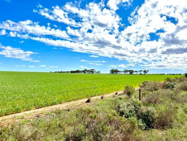 KOONDAPUNDA A Premier Mixed Farming Enterprise