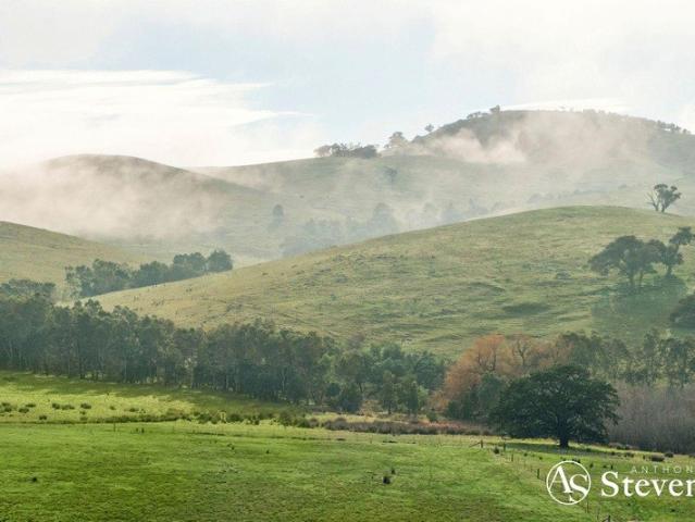 'KOALA' 519 Acres of Scale, Character & Opportunity