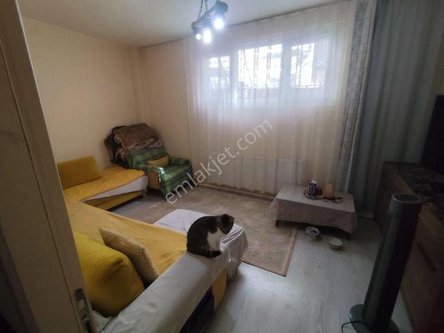 Kocamustafapaşa Mah Pamukcu Sok Çıftcephe
