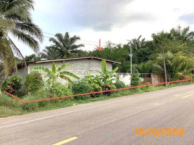 โกดัง 1259 ตร.วา ลำทับ กระบี่ 2.7M