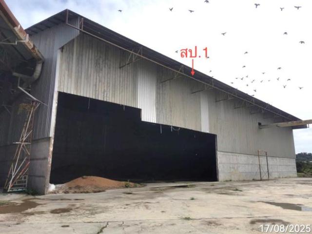 โกดัง 1289 ตร.วา เดิมบางนางบวช สุพรรณบุรี 9M