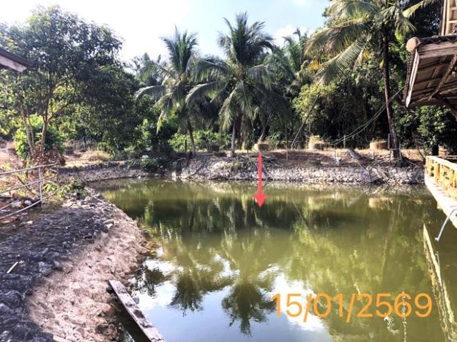 โกดัง 1420.7 ตร.วา เหนือคลอง กระบี่ 4M