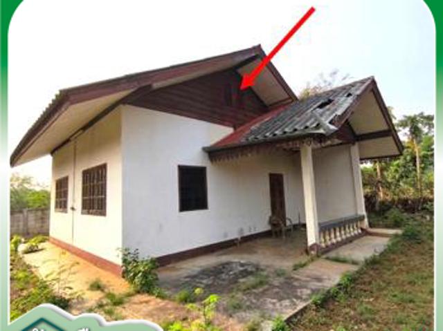 โกดัง 1560.4 ตร.วา บ้านโฮ่ง ลำพูน 5.1M