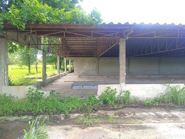 โกดัง 3289 ตร.วา เดชอุดม อุบลราชธานี 4.8M