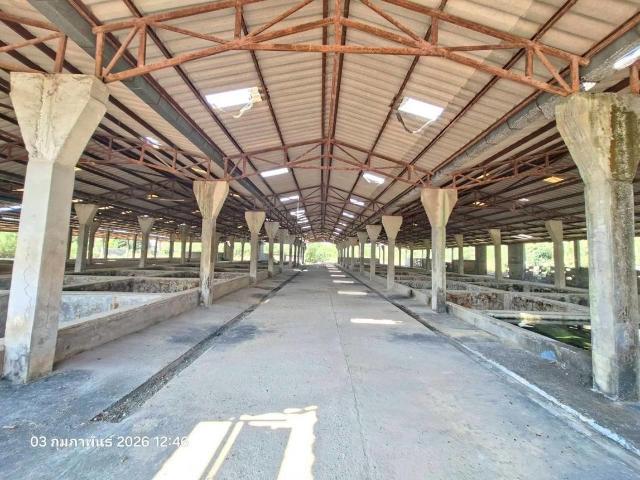 โกดัง 3707 ตร.วา แม่สรวย เชียงราย 11.6M