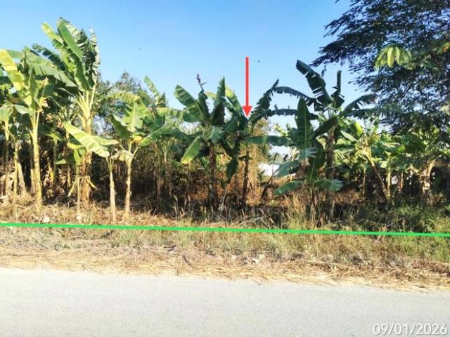 โกดัง 764 ตร.วา อู่ทอง สุพรรณบุรี 3M
