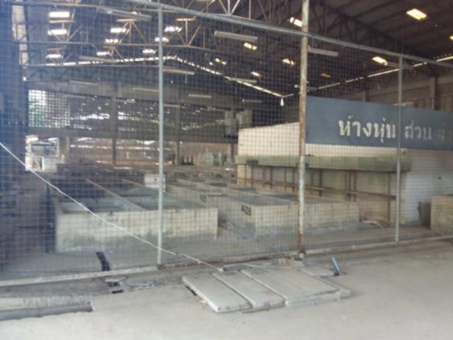 โกดัง 800 ตร.วา ธัญบุรี ปทุมธานี ธัญบุรี ปทุมธานี 19.3M