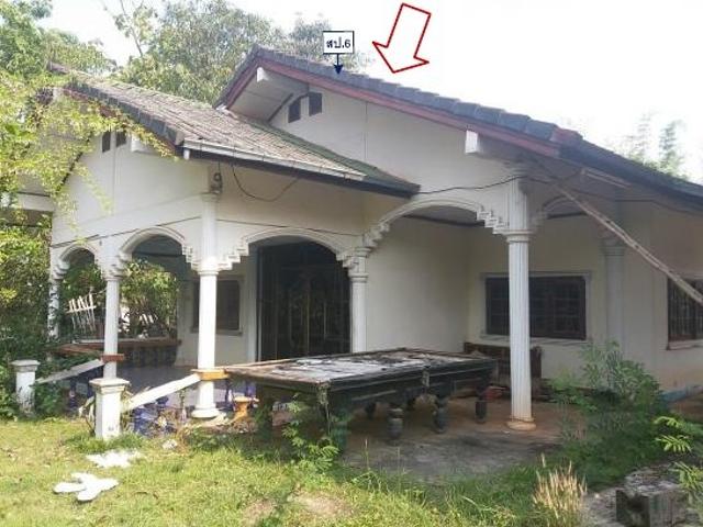 โกดัง 1178.6 ตร.วา เมืองหนองคาย เมืองหนองคาย หนองคาย 5.3M