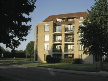 Koekoeksbloem, 124, Odijk