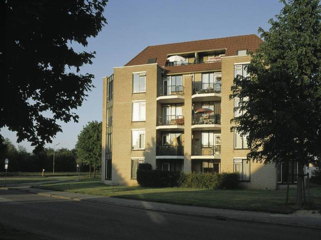 Koekoeksbloem, 134, Odijk